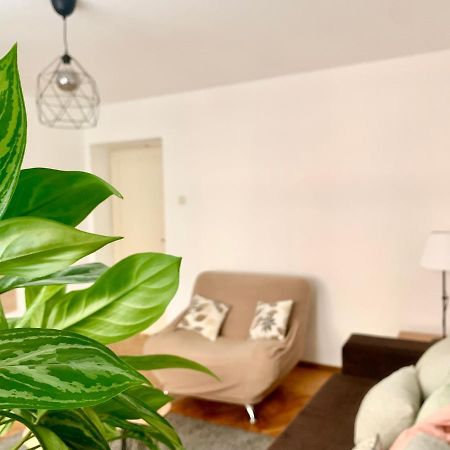 Star Apartment 2 Beograd Eksteriør bilde