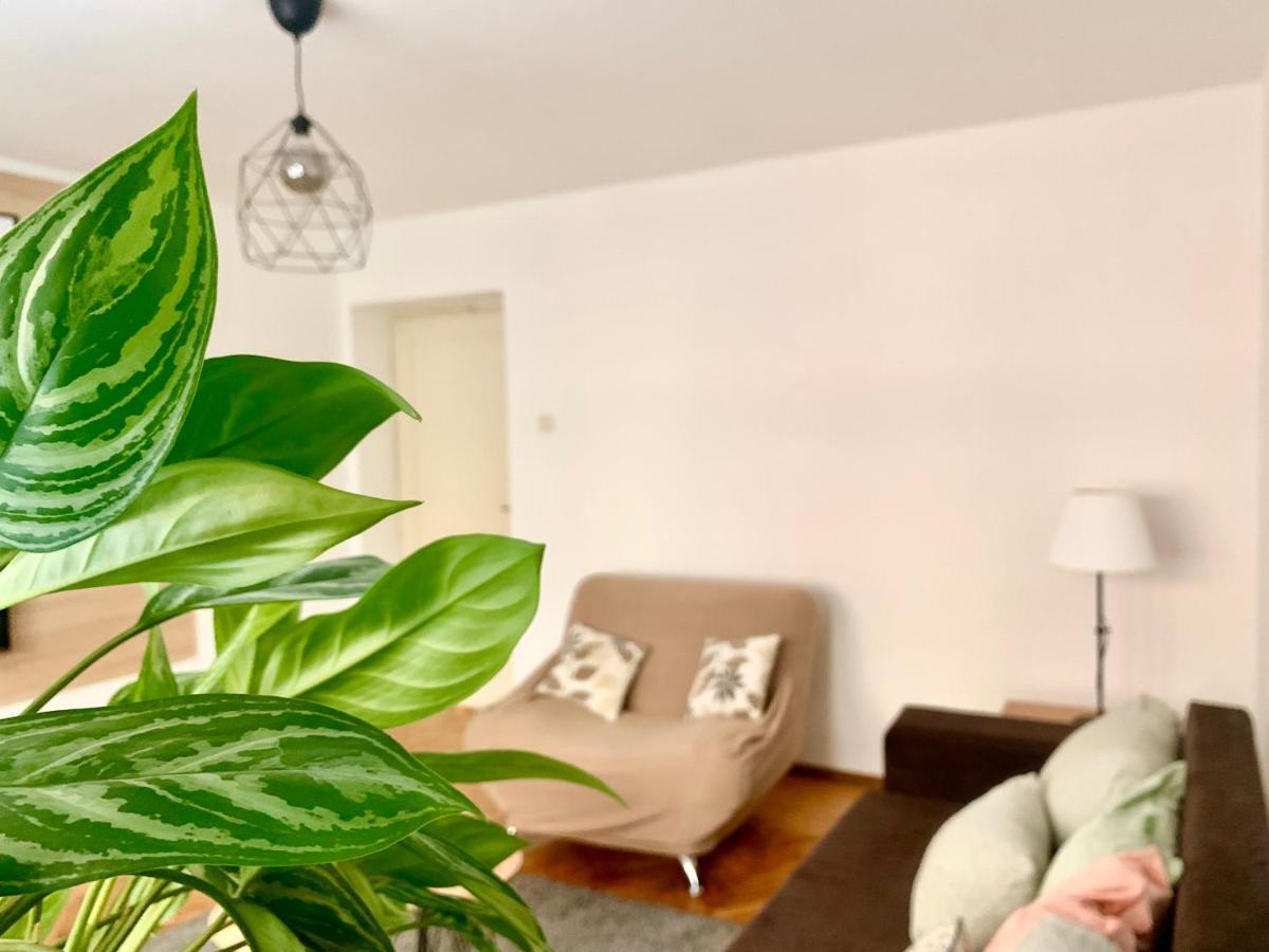 Star Apartment 2 Beograd Eksteriør bilde